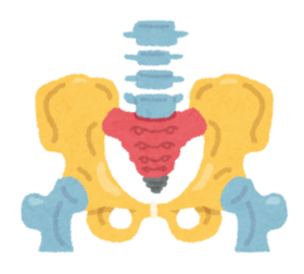 body_kotsuban.png